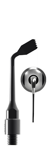 extremidades-foto_03